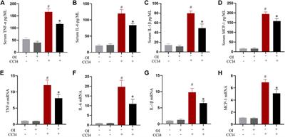 4-OI Attenuates Carbon Tetrachloride-Induced Hepatic Injury via Regulating Oxidative Stress and the Inflammatory Response